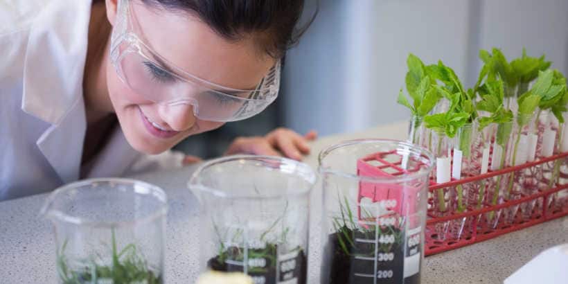 Soil and Plant Scientist